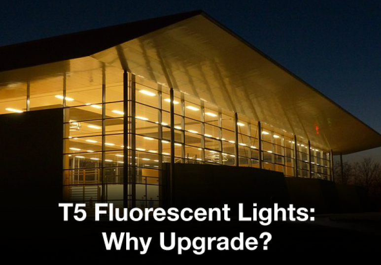 T5 Fluorescent Lighting Versus Metal Halide: What's The Difference?